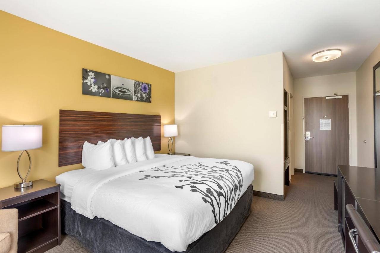 Mini-hôtel Sleep North - York